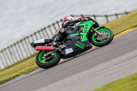 PJ-Motorsport-2019;anglesey-no-limits-trackday;anglesey-photographs;anglesey-trackday-photographs;enduro-digital-images;event-digital-images;eventdigitalimages;no-limits-trackdays;peter-wileman-photography;racing-digital-images;trac-mon;trackday-digital-images;trackday-photos;ty-croes